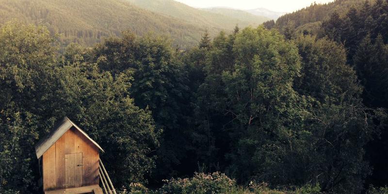 中国长荣39:全球物流运输的关键力量与货运解决方案