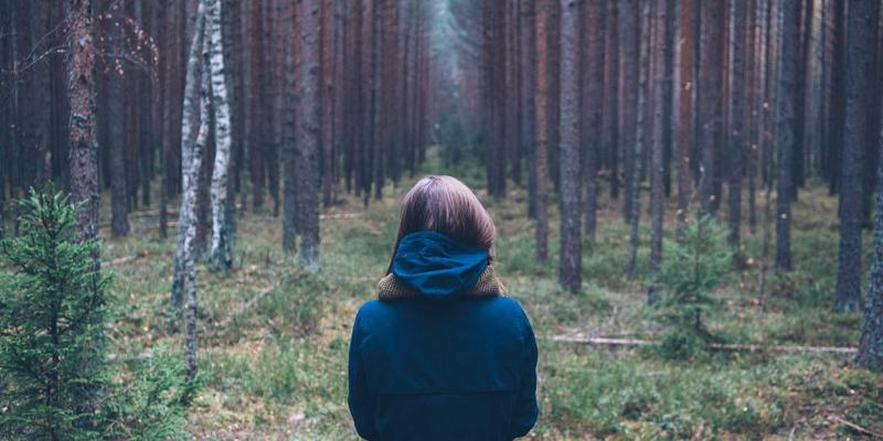 中国长荣81：现代供应链管理与高效货运配送的卓越实践