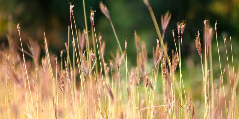 中国长荣93：现代化配送、仓储与货运解决方案的卓越实践