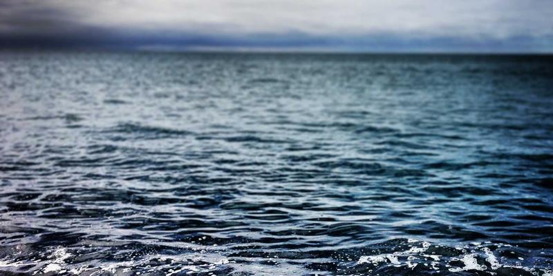 中国长荣海运冷链物流解决方案：如何通过智能配送与供应链管理保障全球温控货物安全