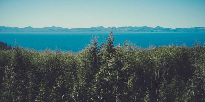 中国长荣海运支线网络优化：打造亚洲区域内高效物流解决方案与供应链管理新范式