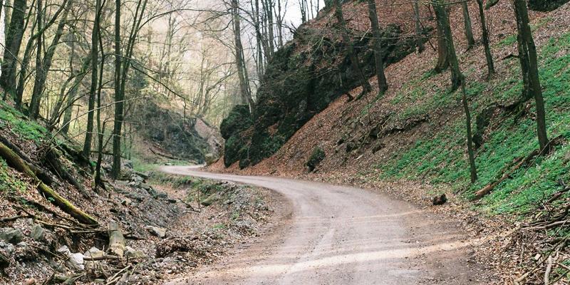 中国长荣海运新兴市场布局：深入分析非洲与拉美航线的供应链管理与配送增长战略