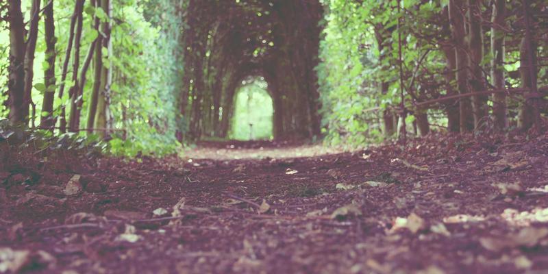 破局港口拥堵：长荣海运如何以弹性仓储与智能配送重构物流运输网络