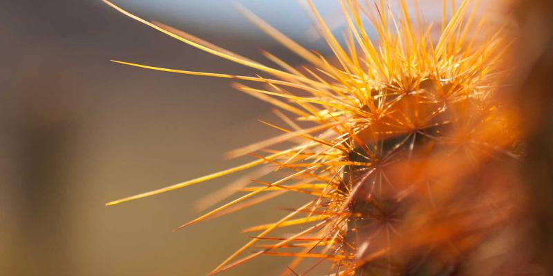 货运新枢纽：中国长荣在非洲港口的投资与运营如何重塑物流运输与仓储格局