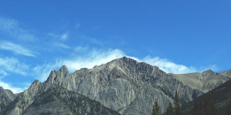 长荣海运深耕拉美：港口投资与航线拓展如何重塑区域货运与供应链管理格局